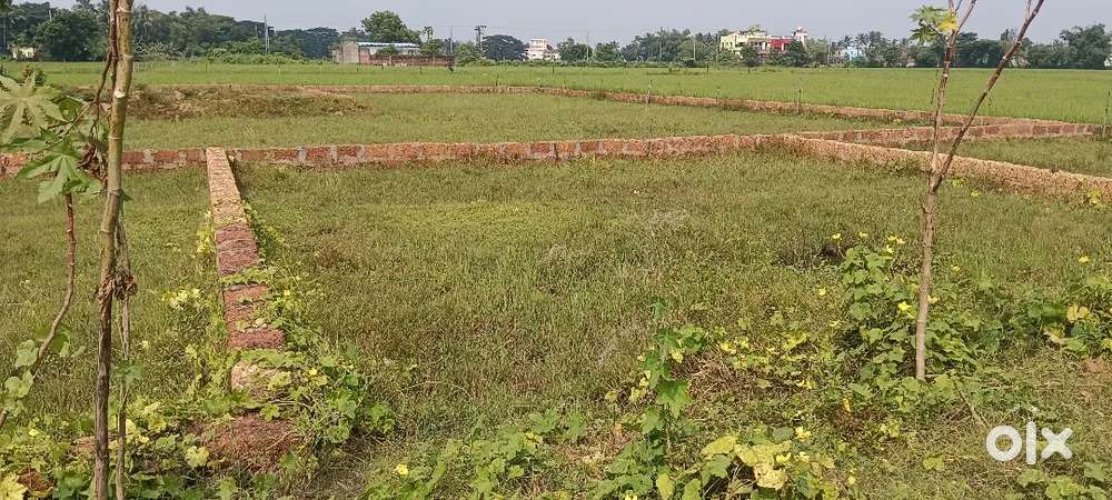 Immediately house perpose