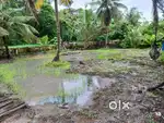 19cents of Residential Land in Maradu