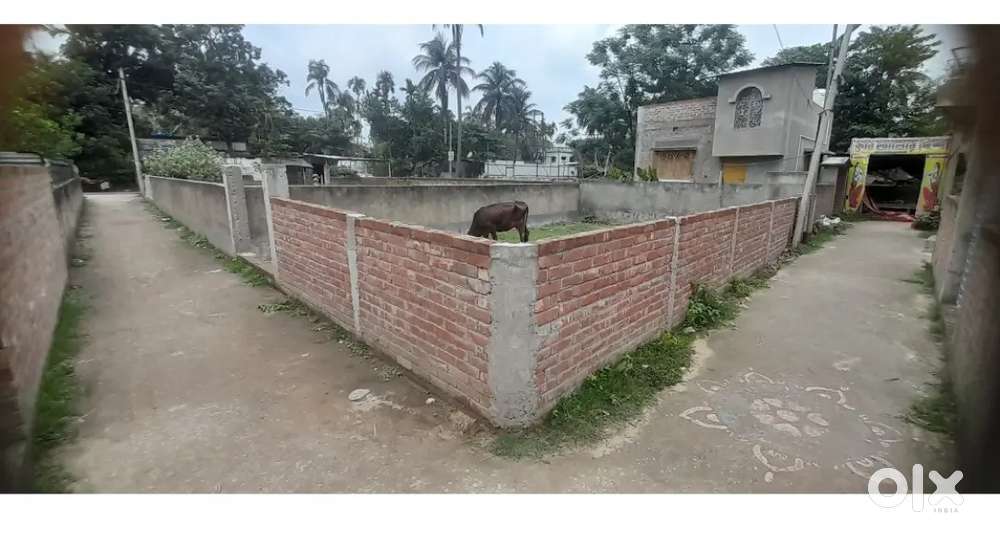 রানাঘাট বানি সংঘ মাঠ পার করে, (কার্জি স্কুলের পাশে)