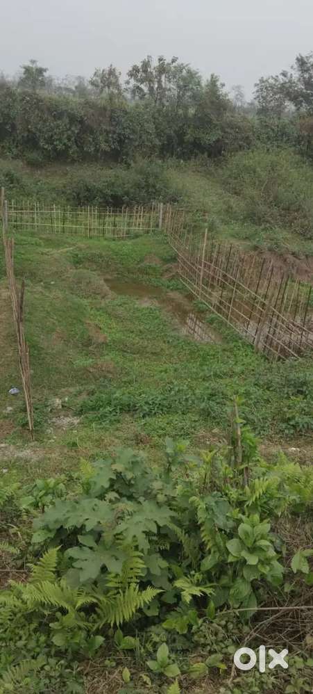 Nice property, just trust us once