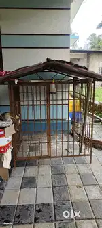 ನಾಯಿ ಗೂಡು 4ft*4ft..  (gross weight 130 kg)