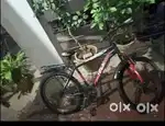 Hawk Branded cycle