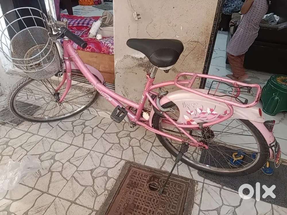 Lady bird a1 cycle