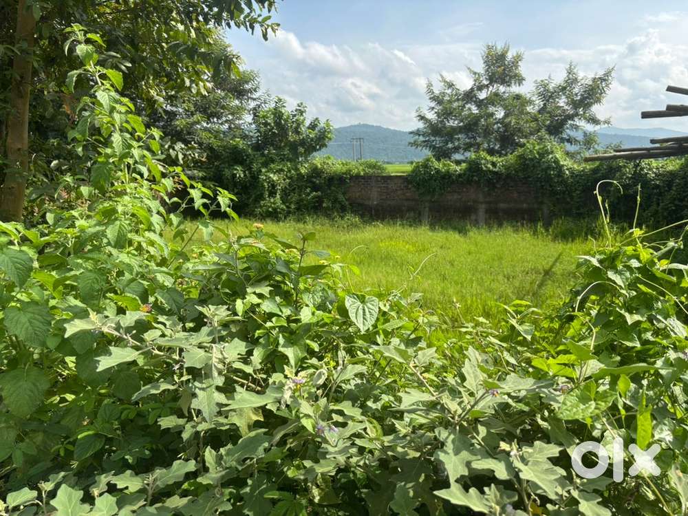 19 lessa Road Side First plot in Jobey ( Belt Area)