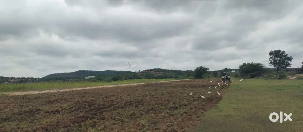 Veldhurthy (m) rathanpalli village