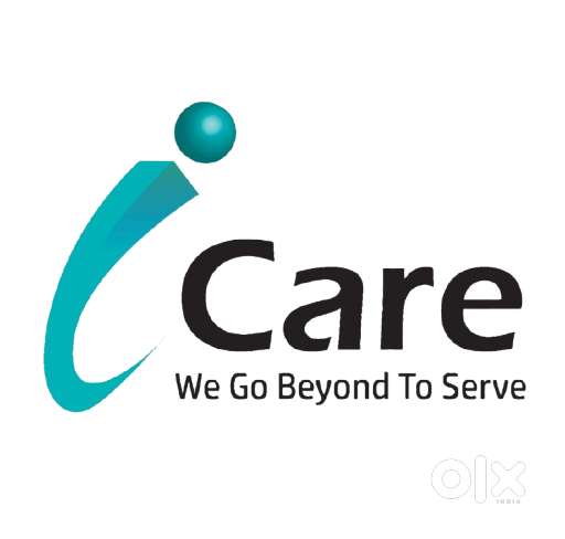 Delivery & Purchase Executive