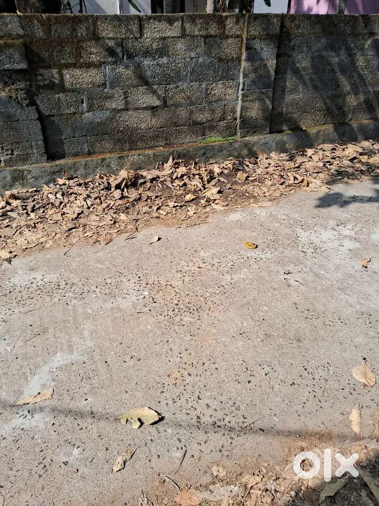 13  Cents Square Commercial property in pattom,kuravankonam Road .