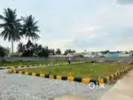 সোয়া তিন গন্ডা জায়গা বিক্রি করা হবে প্রকৃত ক্রেতাগণ যোগাযোগ করবেন
