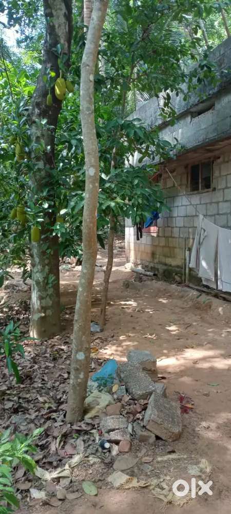 12.5 Cent Scooterway Plot for Sale at Convent Road, Pravachambalam