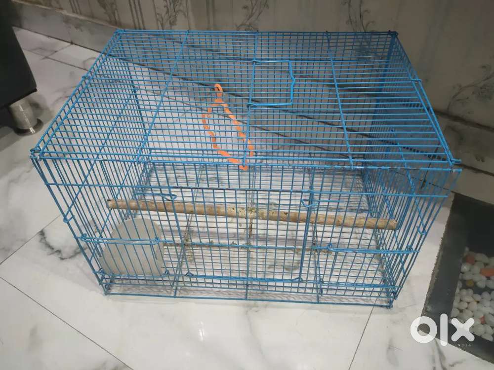 Birds cages 2 pcs one block colour and one sky shade good condition