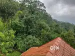 MUNNAR PEPPER CLOUDS FARM RESORT