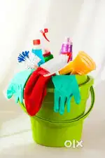 Deep cleaning,  house shifting, painting