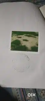 Plot 100 gaj