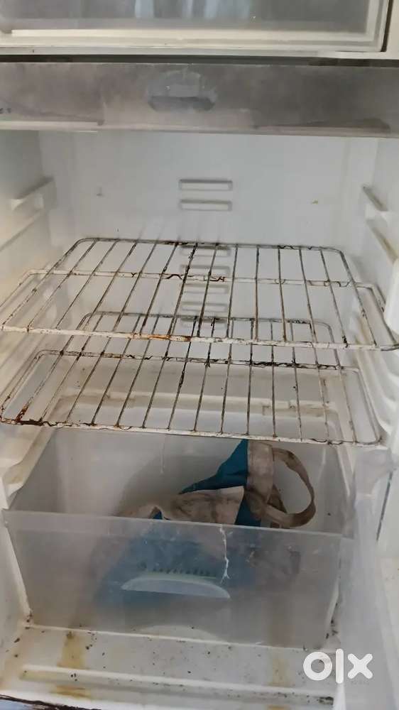रेफ्रिजरेटर