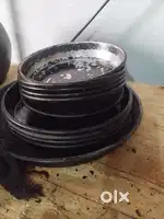 Pizza oven all equipment