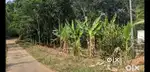 വീട് വെക്കാൻ അനുയോജ്യം ആയ സ്ഥലം 40 സെന്റ്