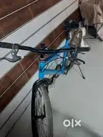 Custom painted cycle