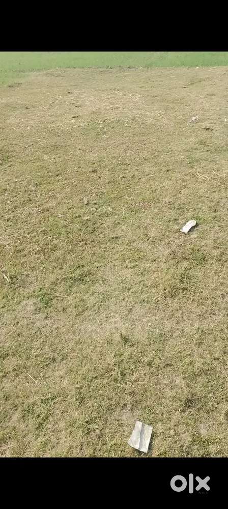 Nalanda khandar ke pass best investment property