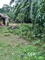 6kata Panagarh Jomi FOR SALE