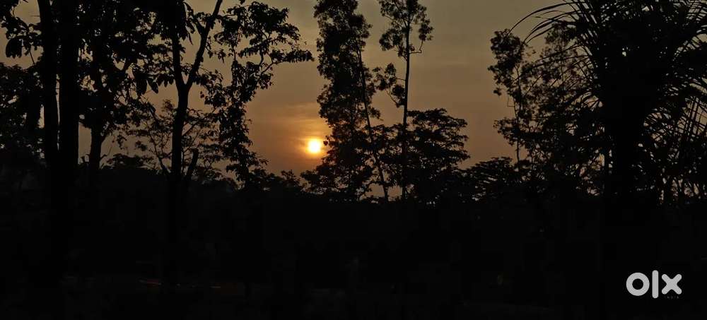 Resort for rent near jagalbet Dandeli