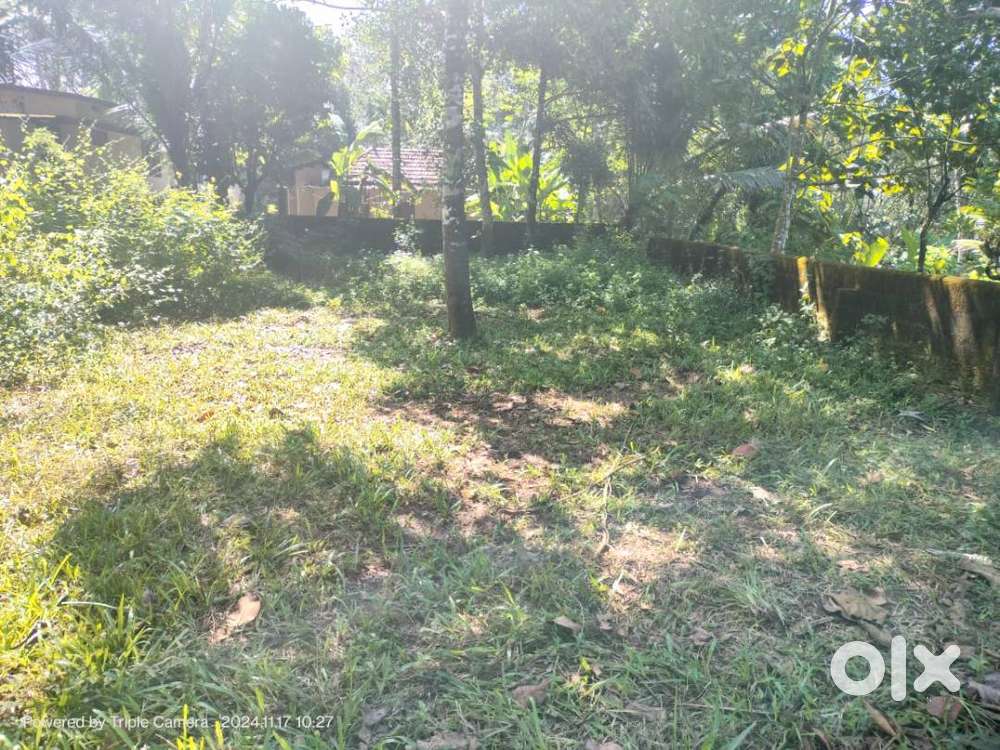 8.5 cent of land property