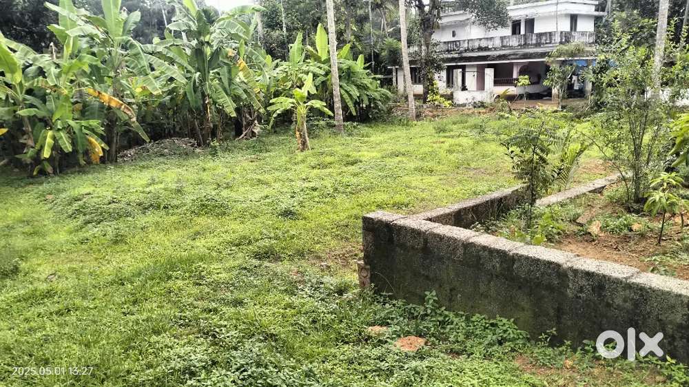 Chottanikkara temple area 10 cent padam view plot for sale