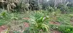 70 cent  Plot for sale near Arakkunnam Ernakulam