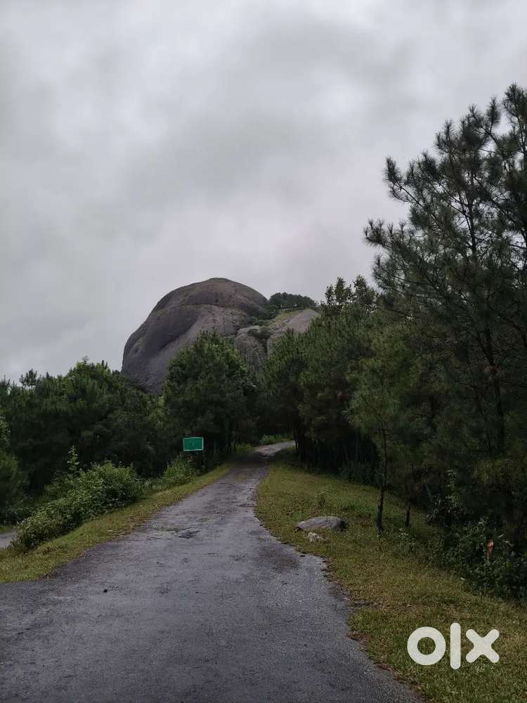 Assamese  tution  available  class 1-12