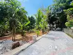 Aluva paravoor kavala 5 cent 7 cent 8 cent house plots for sale