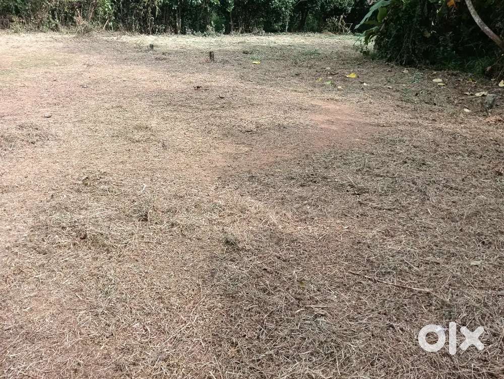 മാള കുരുവിലശ്ശേരിയിൽ 6 സെന്റ് സ്ഥലം വില്പനക്ക്