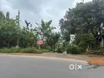 25 cents of land for rent/lease