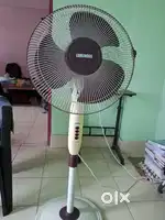 Standing Fan