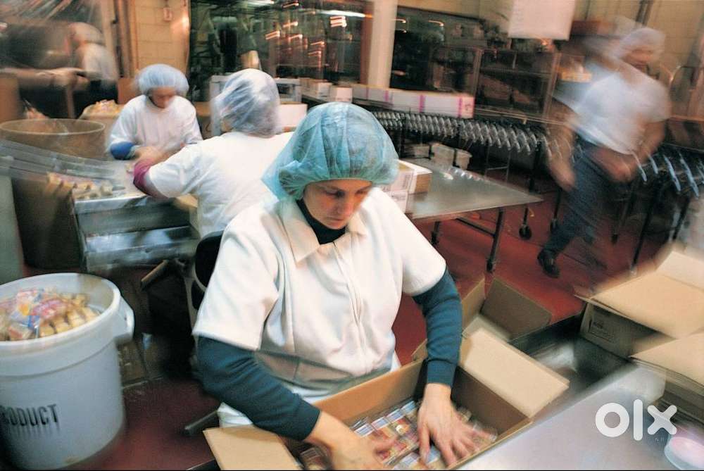 Packaging Staff (Food Packaging) Male / Female in Chimbel