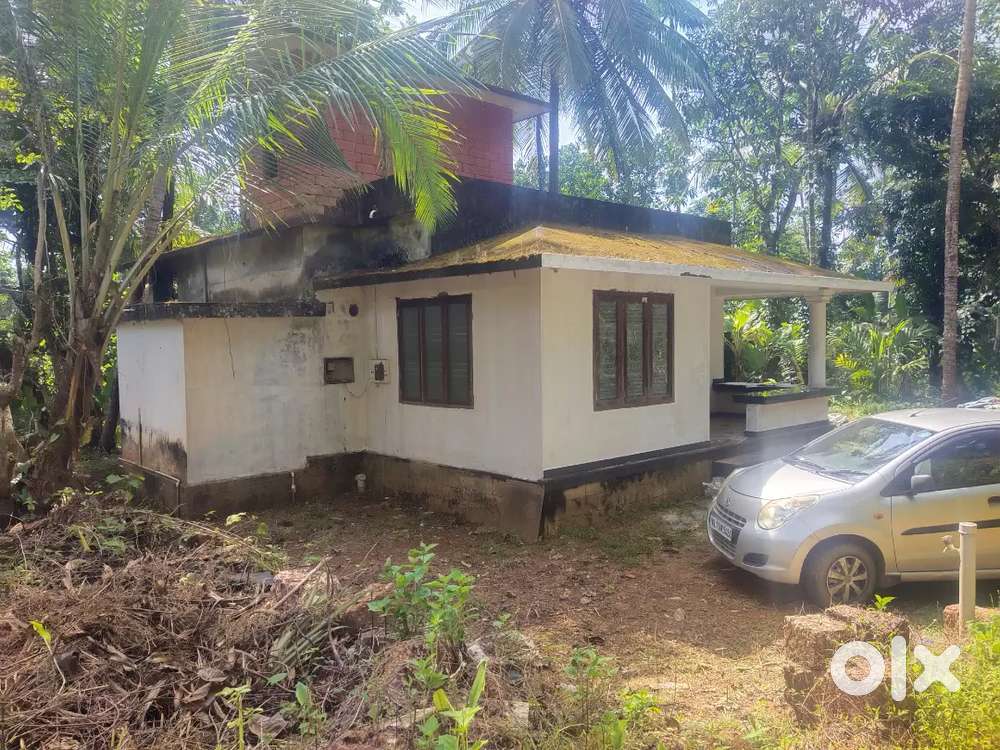 12. cend . Land . 800 sq ft. അരൂര് കല്ലും പുറ