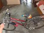 Best cycle only 15 day running