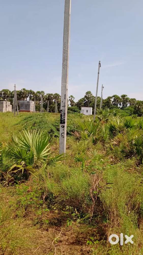 Jagananna Land for Sale