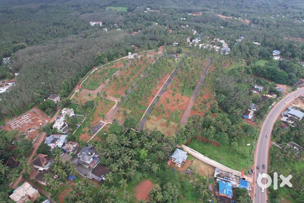 9 Cent House plot for sale in Viyyakurissi,Palakkad