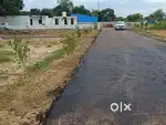 PLOT FOR SALE DADARI NAGAR PALIKA