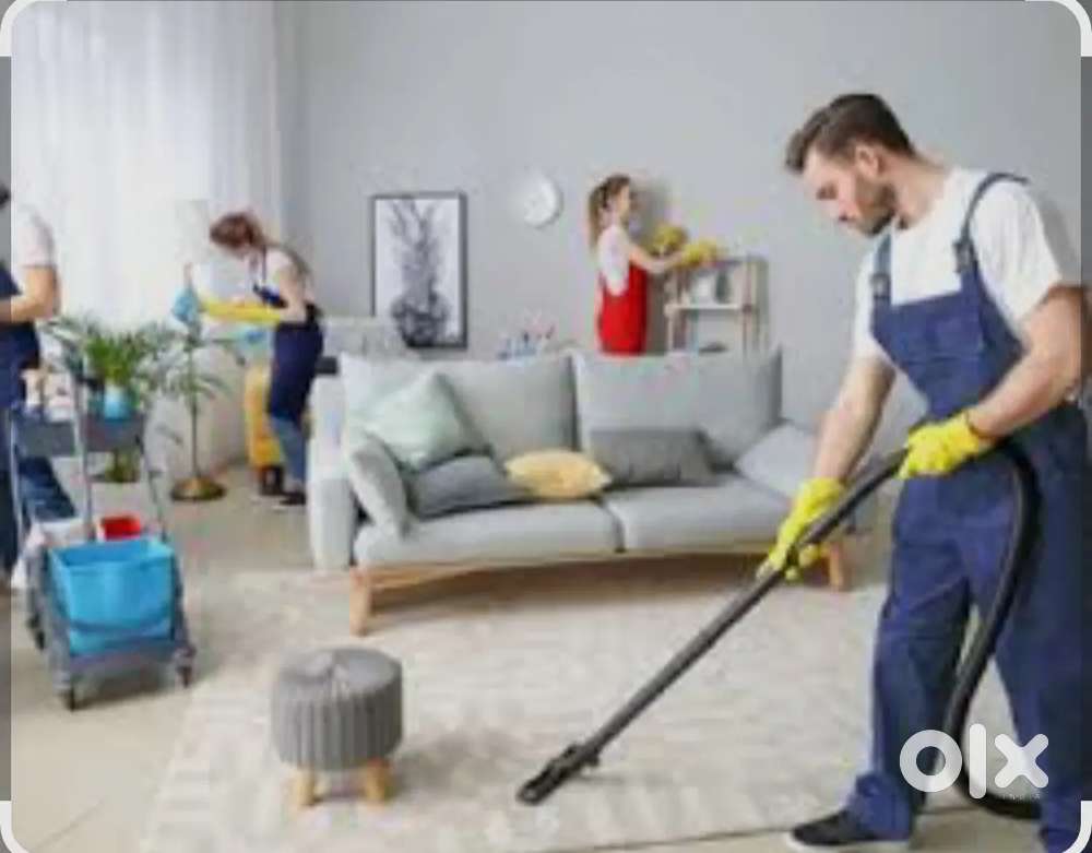 Professional cleaning