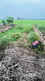 Comrcial plots