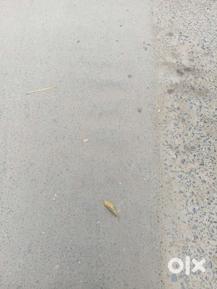 Looking for Urgent Shop in Rent for Our Restro cafe