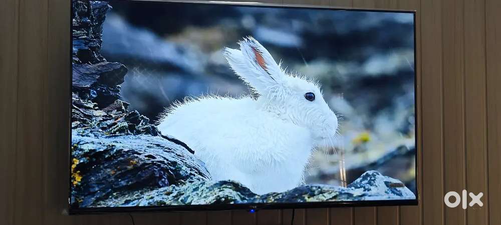 ब्रांड न्यू 50 इंच lg smart tv 4k with warranty