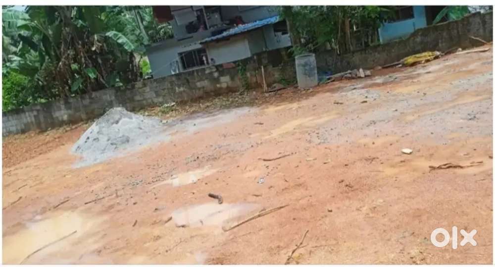 Karakulam mullassery