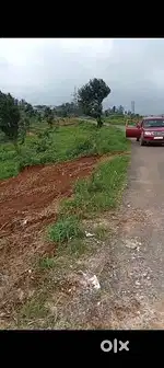 Dang duna!Umlyngka Mawsyiem Surok haduh ha plot