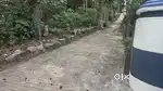 5 cent house plot srekarym ayiroopara bus root near