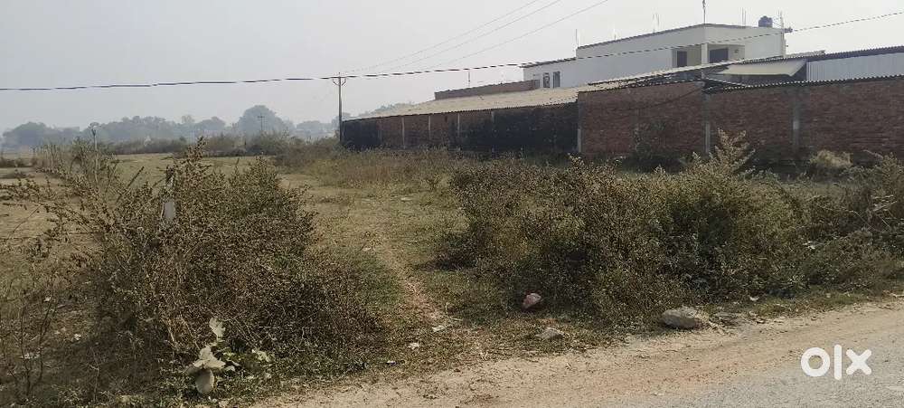 United college ke Piche 700 meter 800 meter range Dev  rampur chorse s