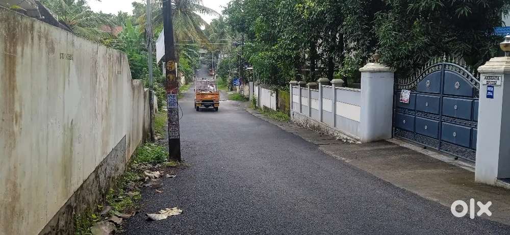 8 cent New house plot Nalanchira