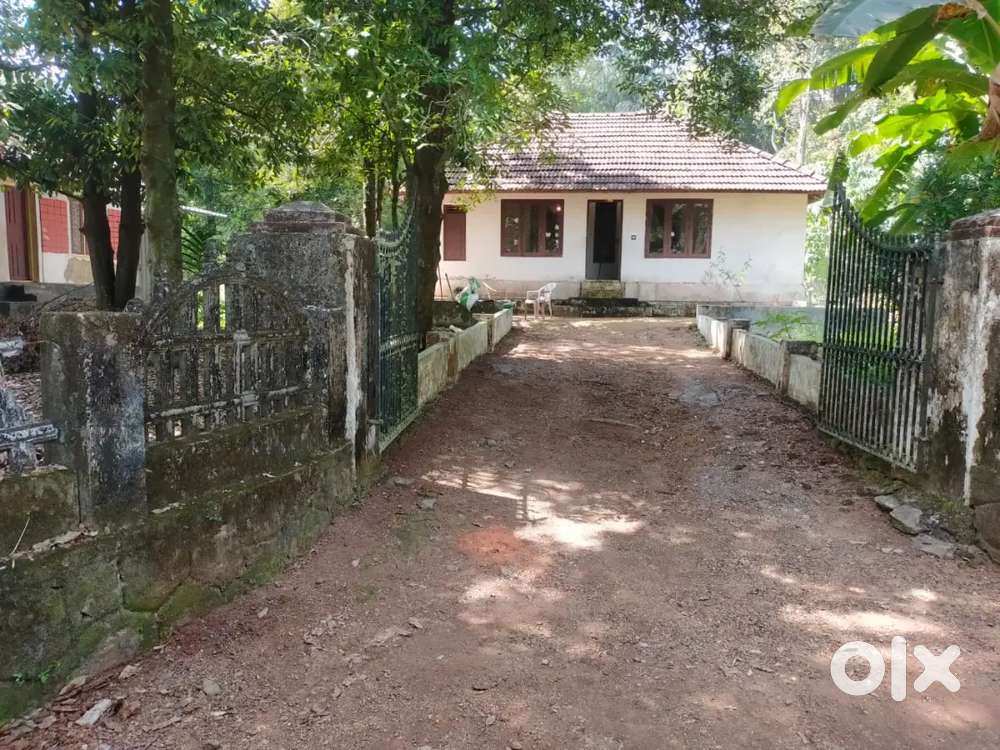 kadathy Karanattukavu Road