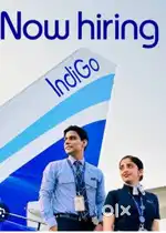 IndiGo Airport jobs join Ground/ staff Hiring 2025