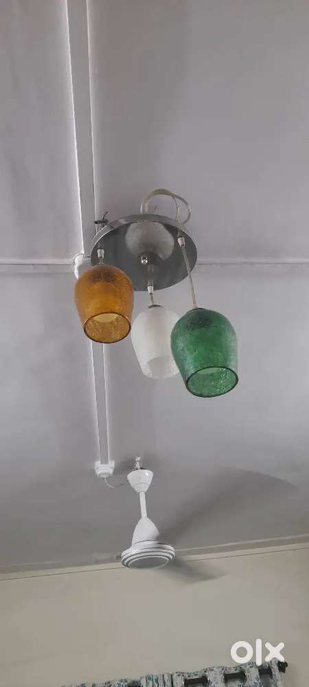 Decorative bulb